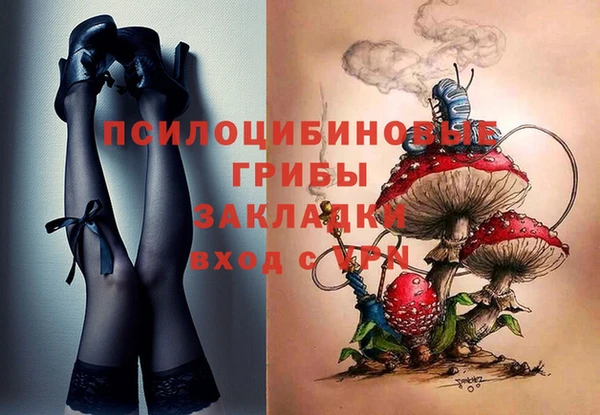 сатива Белоозёрский