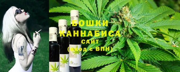 гашик Белокуриха