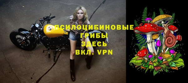 сатива Белоозёрский