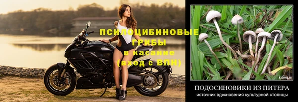 гашик Белокуриха