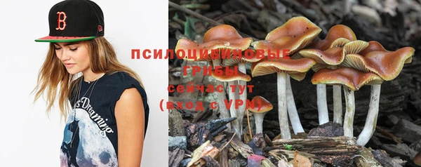 сатива Белоозёрский