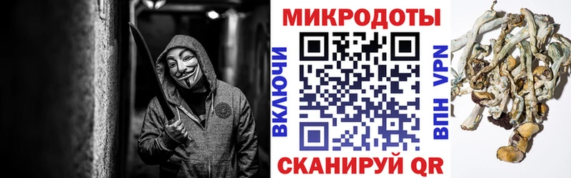 это Telegram Саратов Галлюциногенные грибы Psilocybe где найти